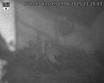 Capi_Dubne_20250627_232003.jpg