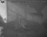 Capi_Dubne_20250627_232503.jpg