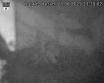 Capi_Dubne_20250627_233002.jpg