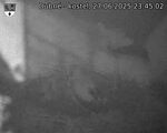 Capi_Dubne_20250627_234502.jpg