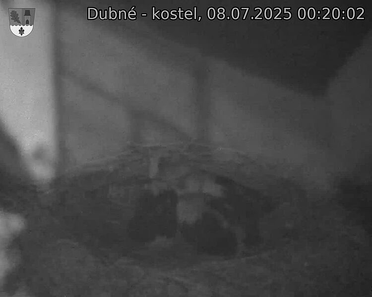 Capi_Dubne_20250708_002002.jpg (1350&nbsp;x&nbsp;1080)