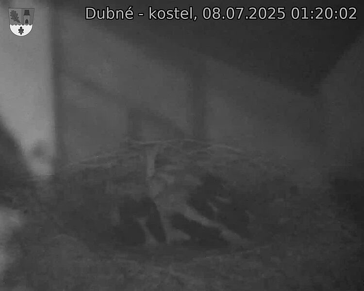Capi_Dubne_20250708_012002.jpg (1350&nbsp;x&nbsp;1080)