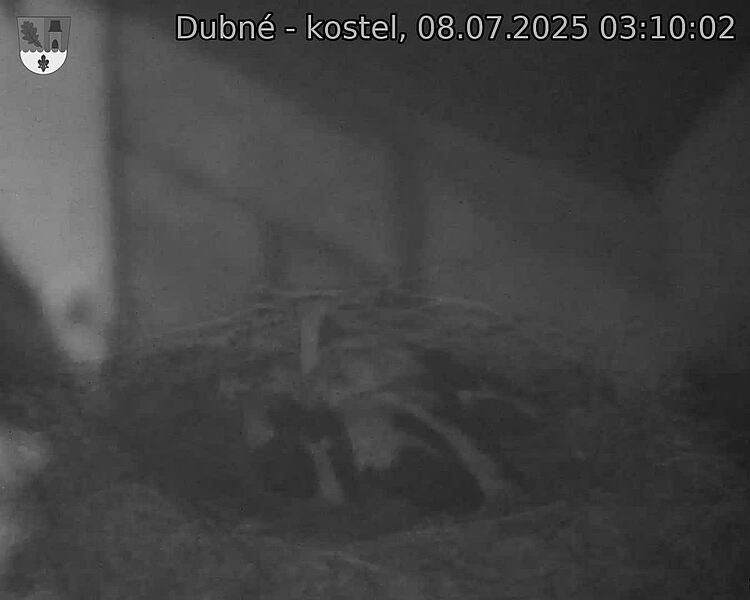 Capi_Dubne_20250708_031002.jpg (1350&nbsp;x&nbsp;1080)