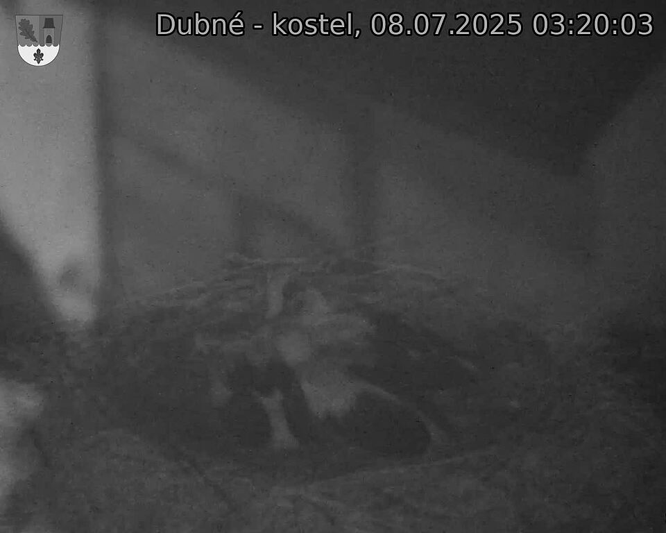Capi_Dubne_20250708_032003.jpg (1350&nbsp;x&nbsp;1080)