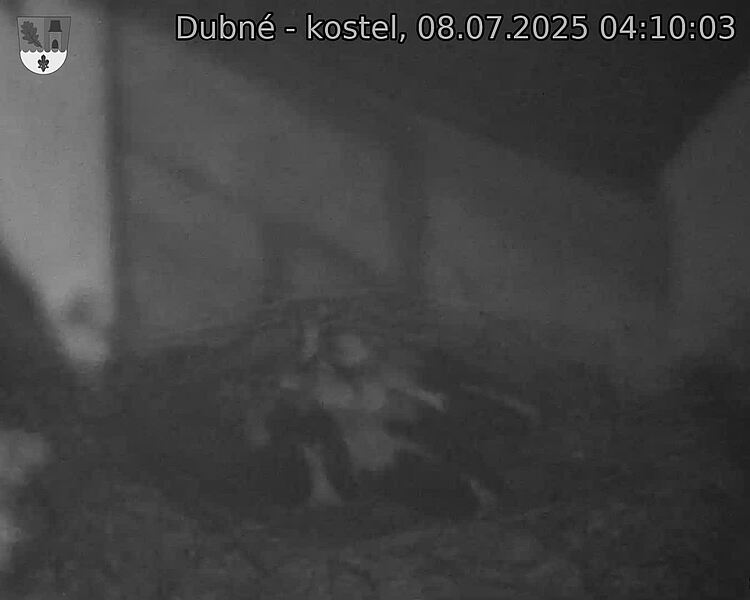 Capi_Dubne_20250708_041003.jpg (1350&nbsp;x&nbsp;1080)