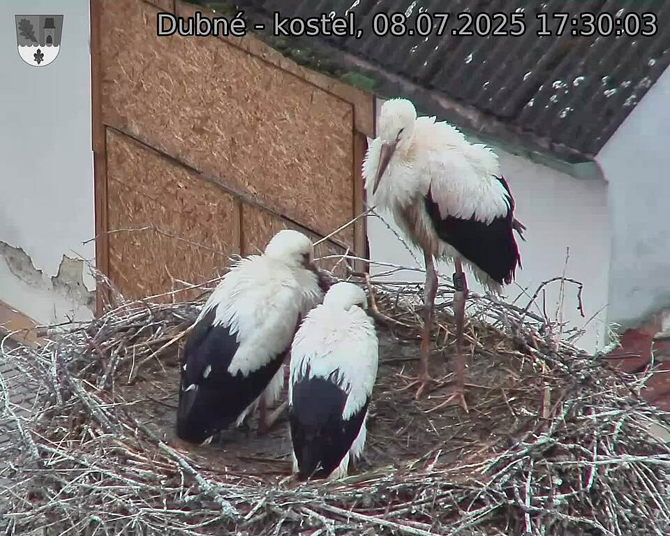 Capi_Dubne_20250708_173003.jpg (1350&nbsp;x&nbsp;1080)