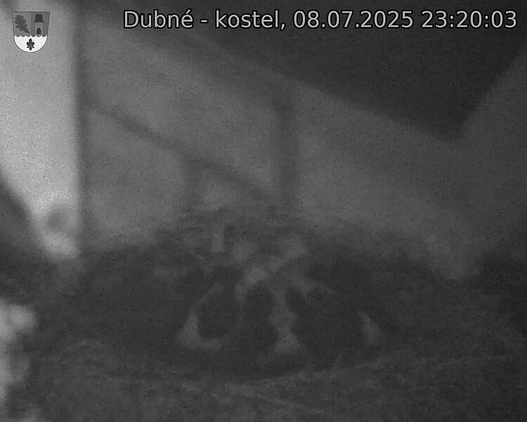 Capi_Dubne_20250708_232003.jpg (1350&nbsp;x&nbsp;1080)