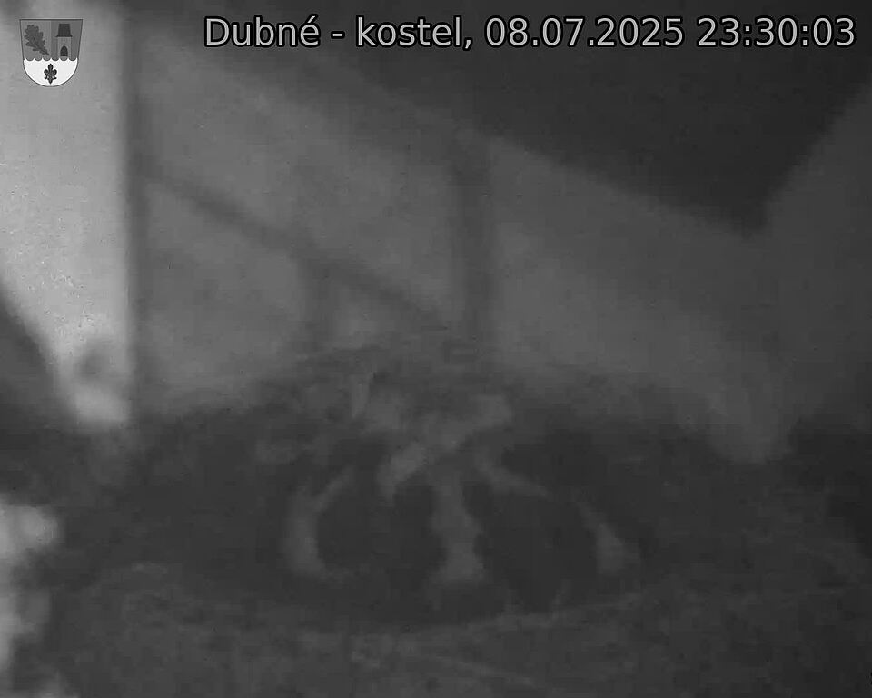 Capi_Dubne_20250708_233003.jpg (1350&nbsp;x&nbsp;1080)