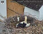 Capi_Dubne_20260607_052003.jpg