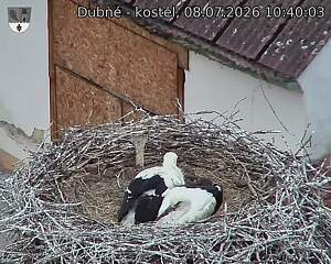 preload