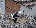 Capi_Dubne_20260708_153003.jpg