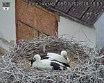 Capi_Dubne_20260708_182003.jpg