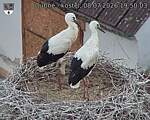 Capi_Dubne_20260708_195003.jpg