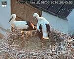Capi_Dubne_20260708_204503.jpg
